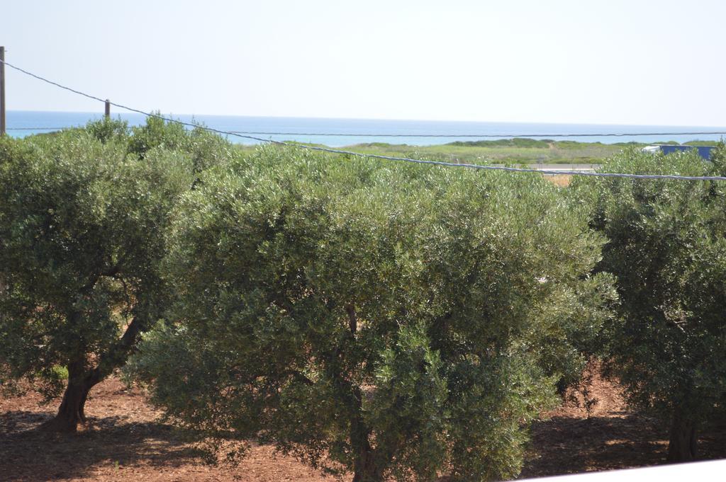 Le Terrazze Miramare B&B Torre Canne Dış mekan fotoğraf